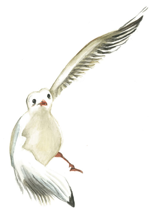 OmnioBalance Training - Rückenschmerzen